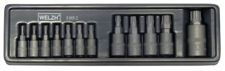 Hlavice zástrčné, Torx Plus T8-T60, S2, sada 12 dílů, Welzh